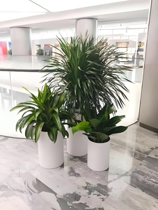 鄞州绿化养护公司 鄞州绿化养护公司